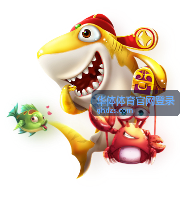 华体体育官网登录网络与设备环境配图