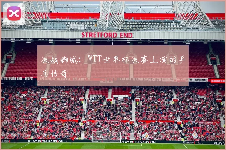 决战狮城：WTT世界杯决赛上演的乒乓传奇